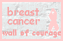 Visit The Breast Cancer Wall of Courage